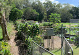 Coombabah Community Garden