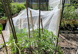 Coombabah Community Garden