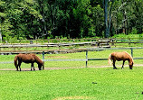 Nerang Community Garden