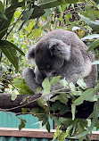 Currumbin Wildlife Sanctuary