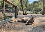 Currumbin Wildlife Sanctuary