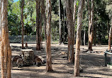 Currumbin Wildlife Sanctuary