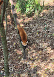 Currumbin Wildlife Sanctuary