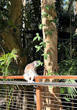 Currumbin Wildlife Sanctuary