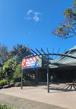 Currumbin Wildlife Sanctuary