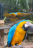 Currumbin Wildlife Sanctuary