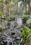 Currumbin Wildlife Sanctuary