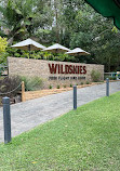 Currumbin Wildlife Sanctuary