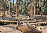 Currumbin Wildlife Sanctuary