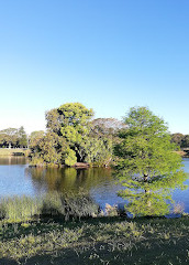 Parque Centenário