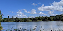 Parque Centenário