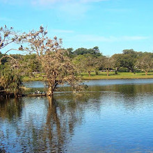 Parque Centenário