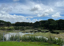 Parque Centenário