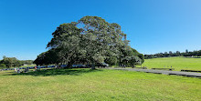 Parque Centenário