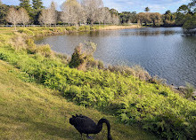 Parque Centenário