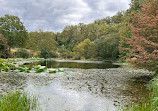 Meadowlark Botanical Gardens