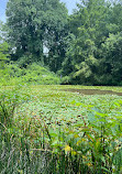 Meadowlark Botanical Gardens