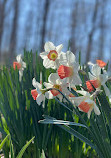 Meadowlark Botanical Gardens