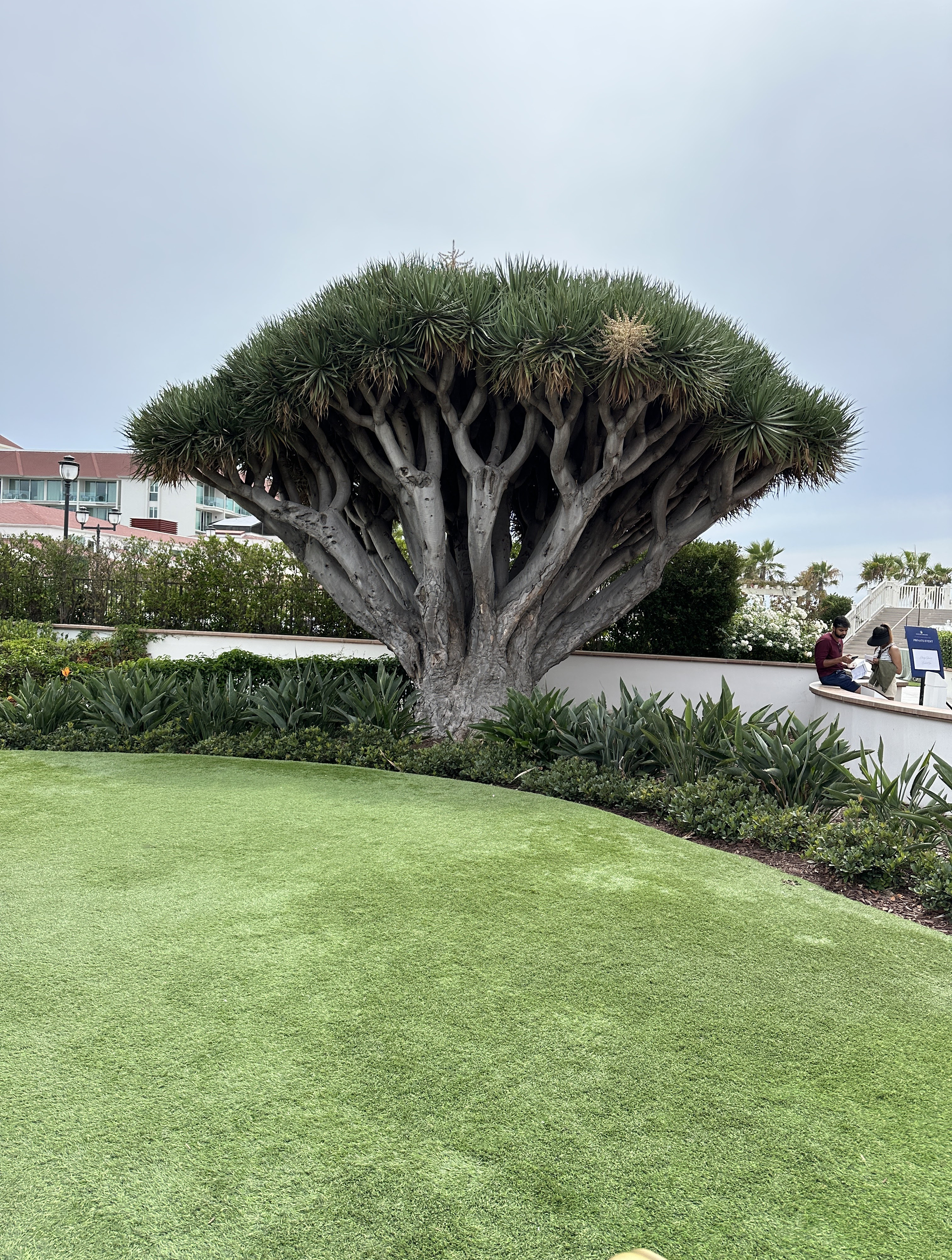 Hotel del Coronado