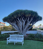 Hotel del Coronado