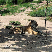 Terra Natura