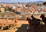 Terra Natura Murcia