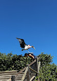 Terra Natura Murcia