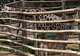 Terra Natura Murcia