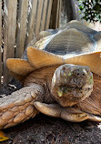 Terra Natura Murcia