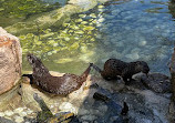 Terra Natura Murcia