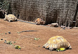 Terra Natura Murcia