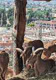 Terra Natura Murcia