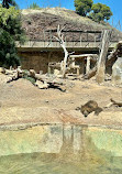 Terra Natura Murcia