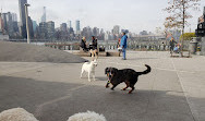 Gantry Big Dog Park