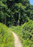 Muddy Branch Trail Head