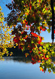 Seneca Creek State Park Boat Center