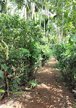 Sahakari Spice Farm