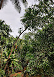 Sahakari Spice Farm