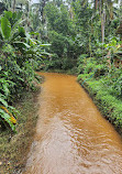 Sahakari Spice Farm