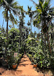 Sahakari Spice Farm