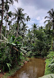 Sahakari Spice Farm