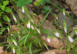 Potomac Woods Park