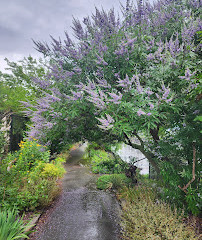 Pier 44 Waterfront Garden