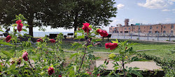 Pier 44 Waterfront Garden