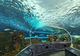 Ripleys Aquarium von Kanada