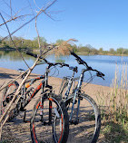 Salt Marsh Nature Center