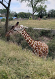 Sedgwick County Zoo