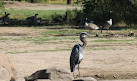 Sedgwick County Zoo