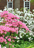 Captains Row Old Town Alexandria