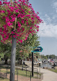 Captains Row Old Town Alexandria